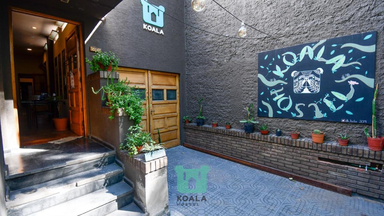 Koala Hostel Mendoza Exteriér fotografie
