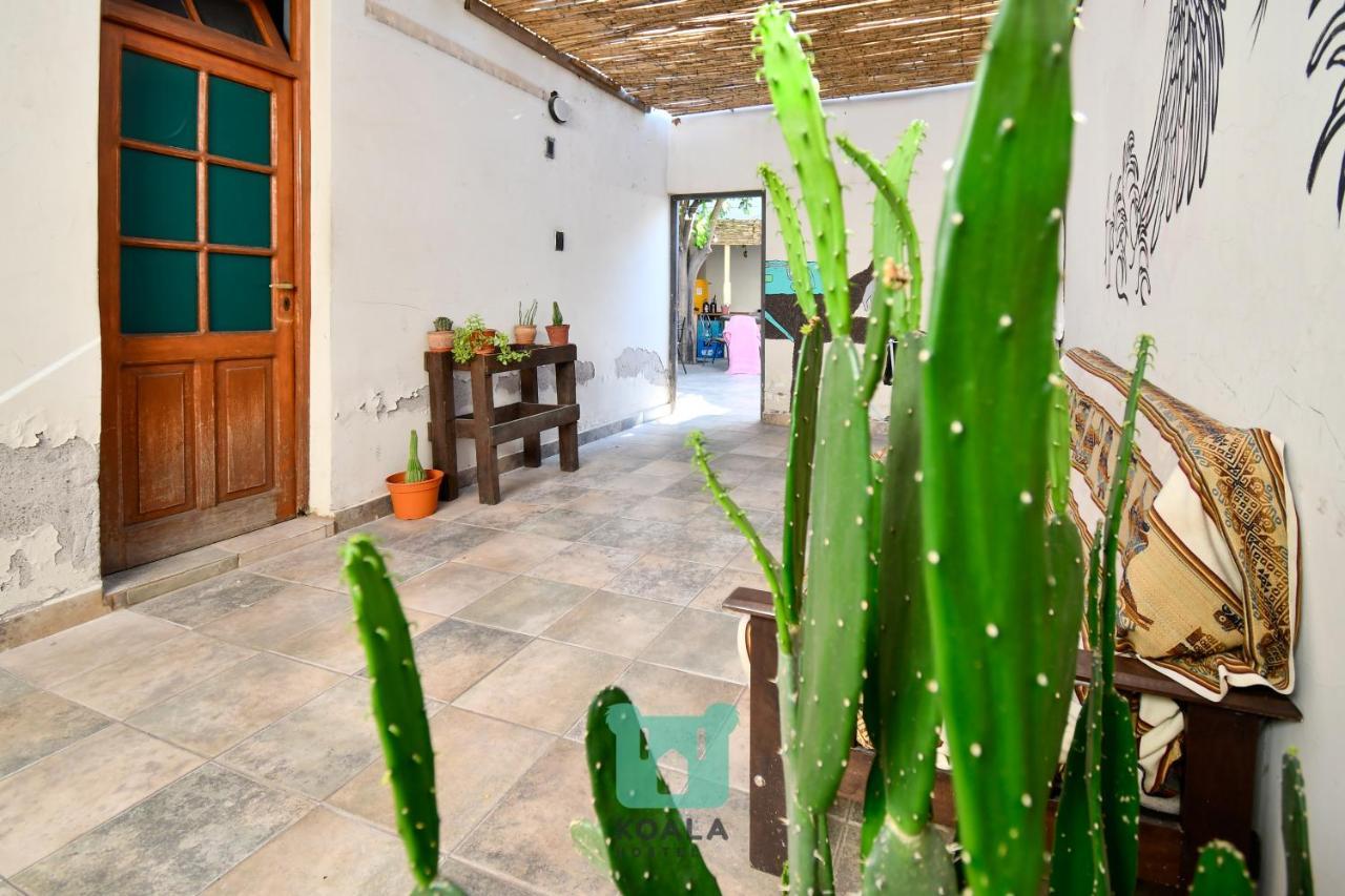 Koala Hostel Mendoza Exteriér fotografie